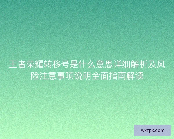 王者荣耀转移号是什么意思详细解析及风险注意事项说明全面指南解读